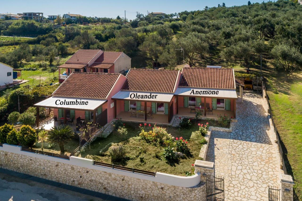 Garden Apartments Agios Stefanos Corfu Agios Stefanos Avliotes  Buitenkant foto